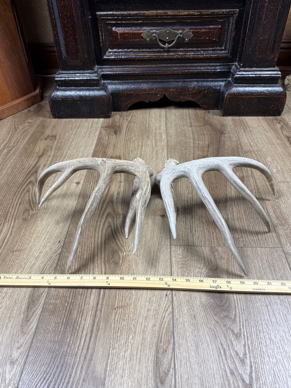 Authentic Naturally Shed Whitetail Deer Antlers 1 Pair